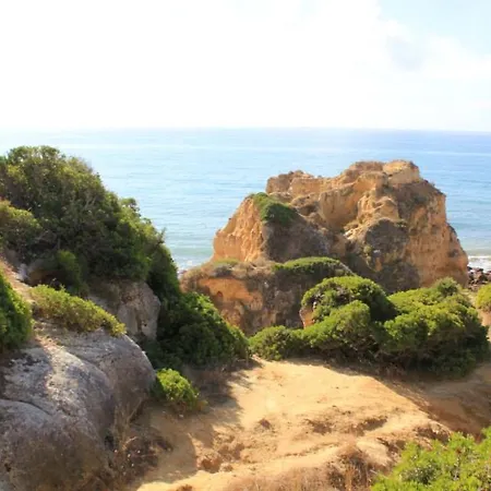 Lena فيلة البوفيرا