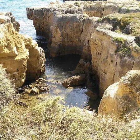 Lena 阿尔布费拉